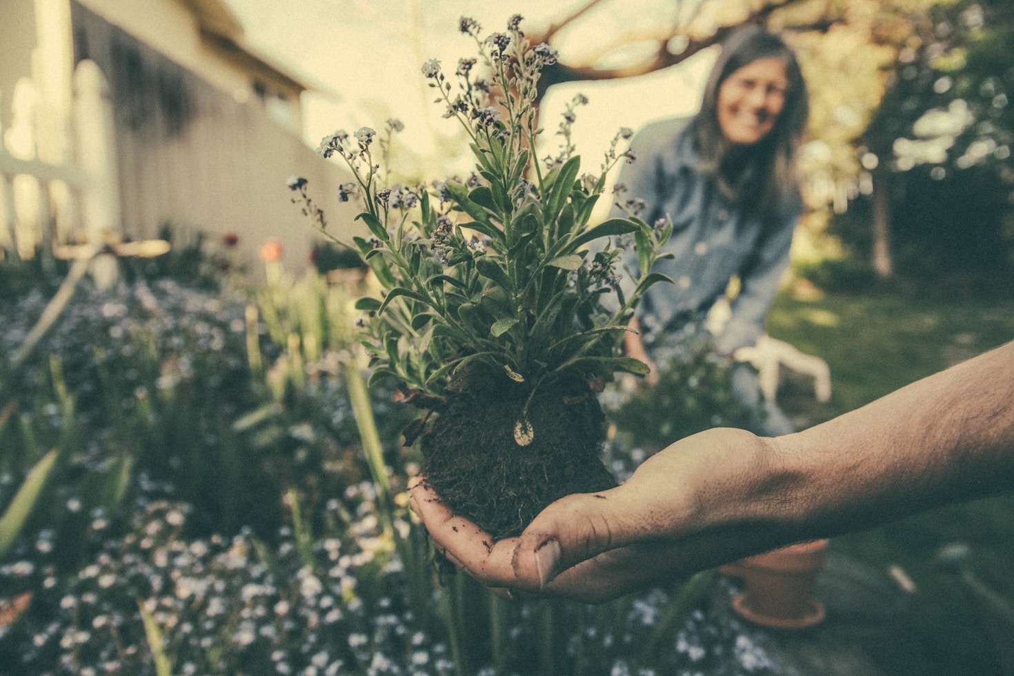 Transforming Your Garden with Digital Tools