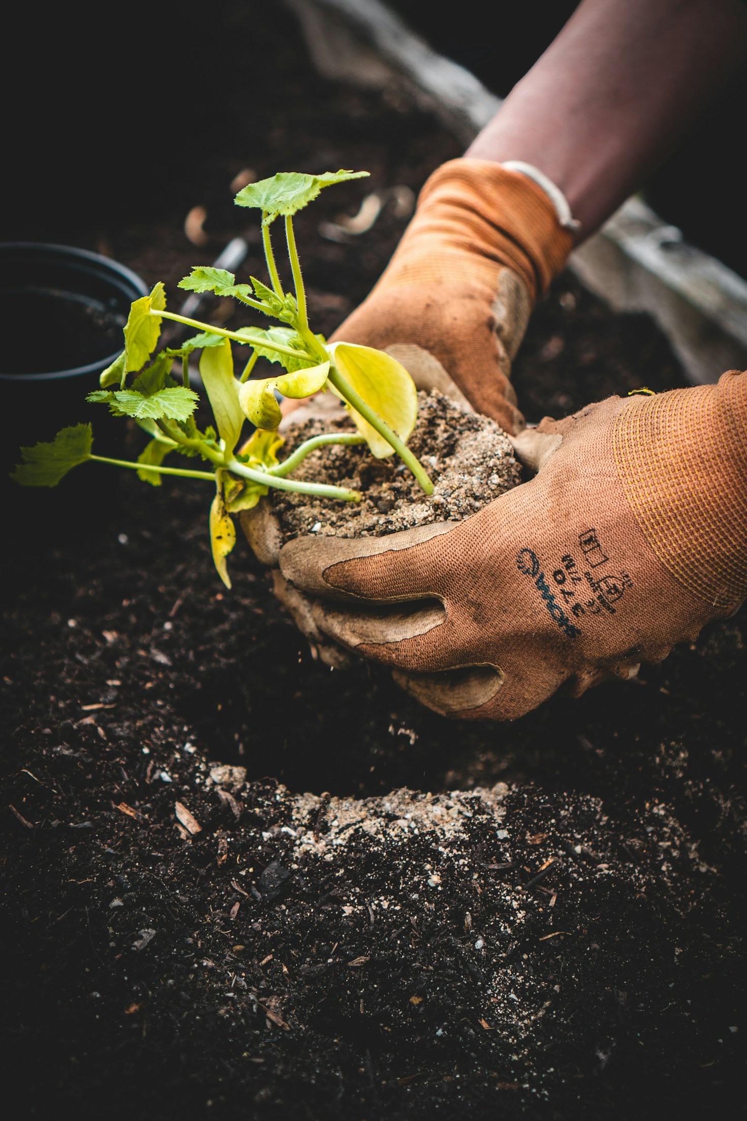 Efficient Garden Planning: Tips and Tricks